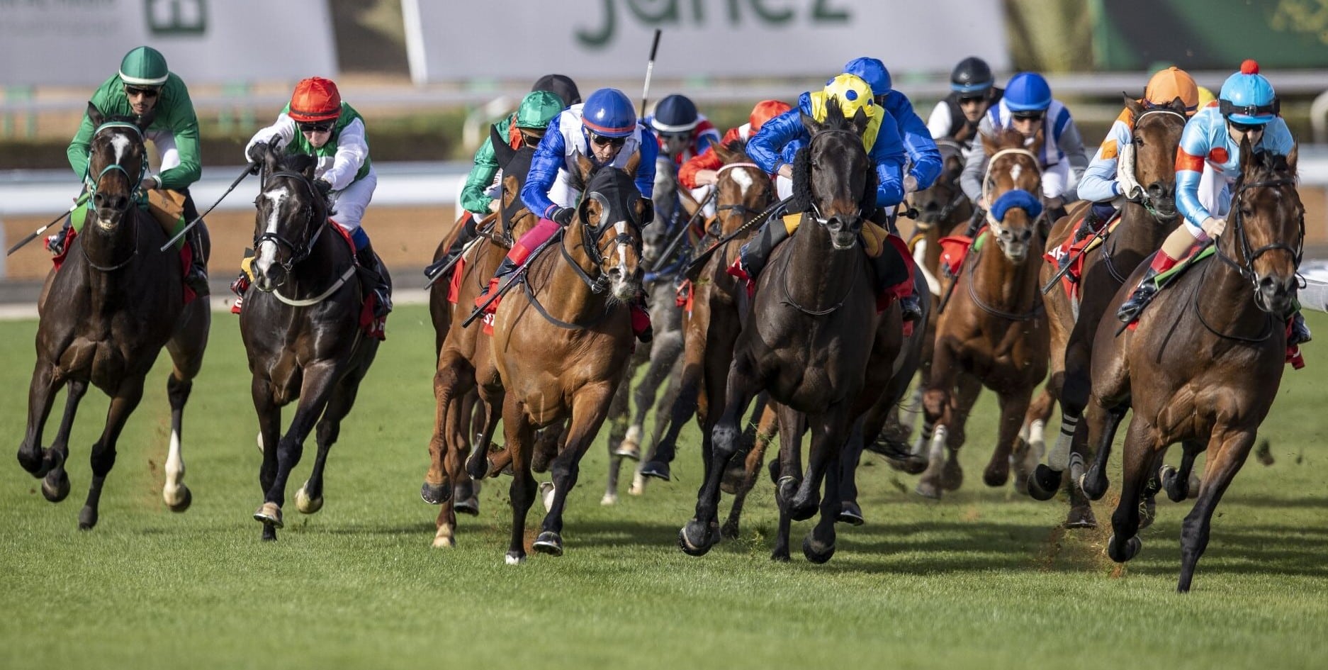 Supporting British horse racing, introducing new gallops maintenance ...